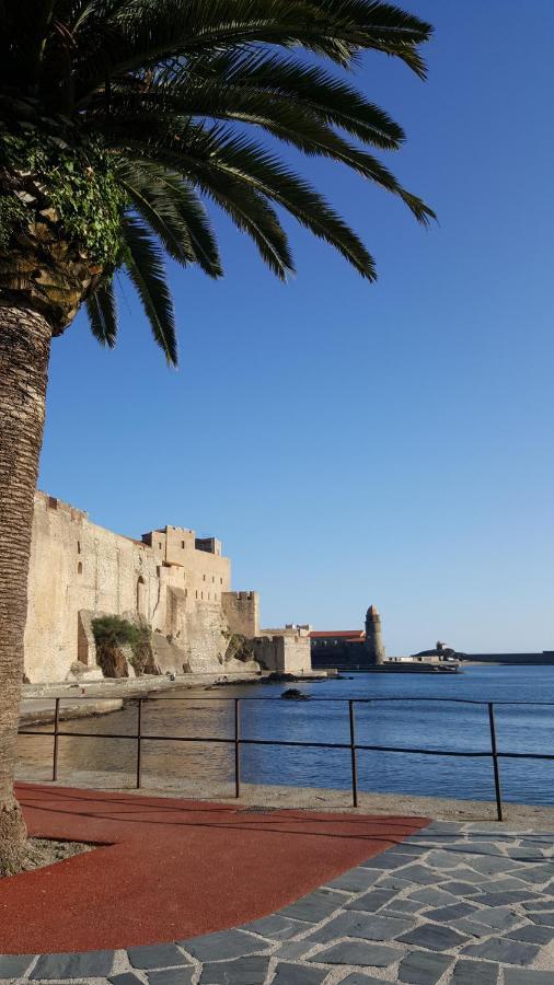 4Sap7 Appartement Avec Belle Terrasse Collioure Cameră foto